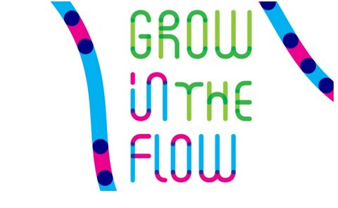 In Flow Projet - 
